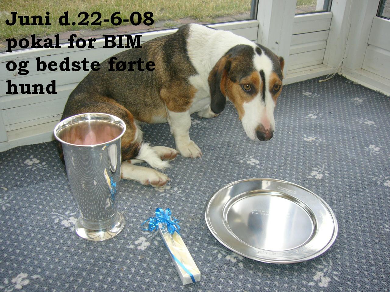 Juni d 22-6-08 pokal for BIM og bedste frte hund